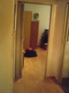 Read more about the article مغامرتي الساخنة في متحف الإيروتيكا أثناء توقفي في باريس