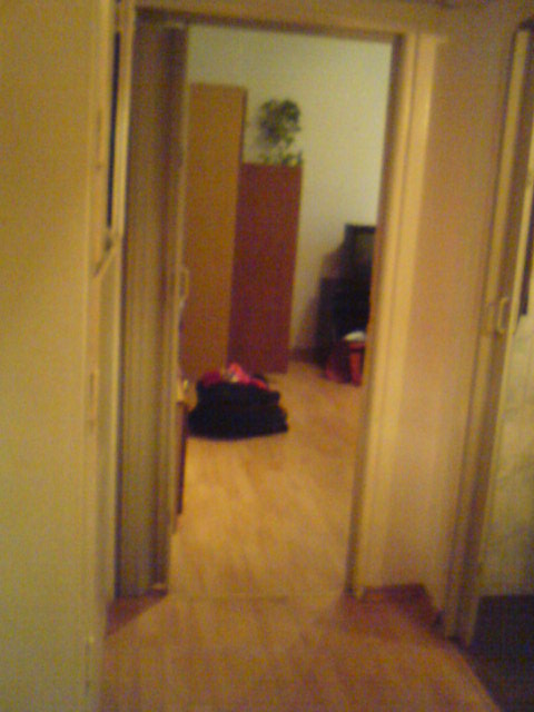 You are currently viewing مغامرتي الساخنة في متحف الإيروتيكا أثناء توقفي في باريس